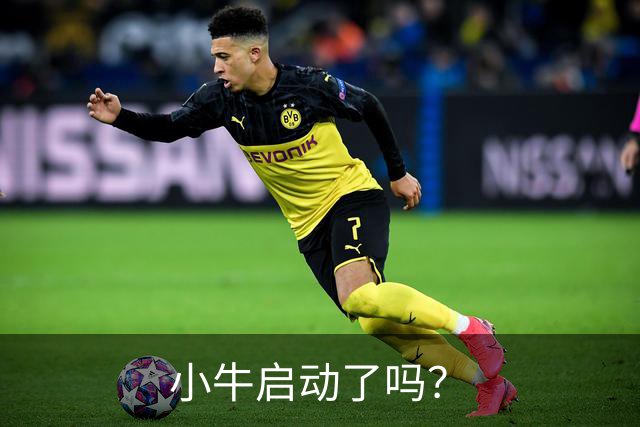 小牛启动了吗？